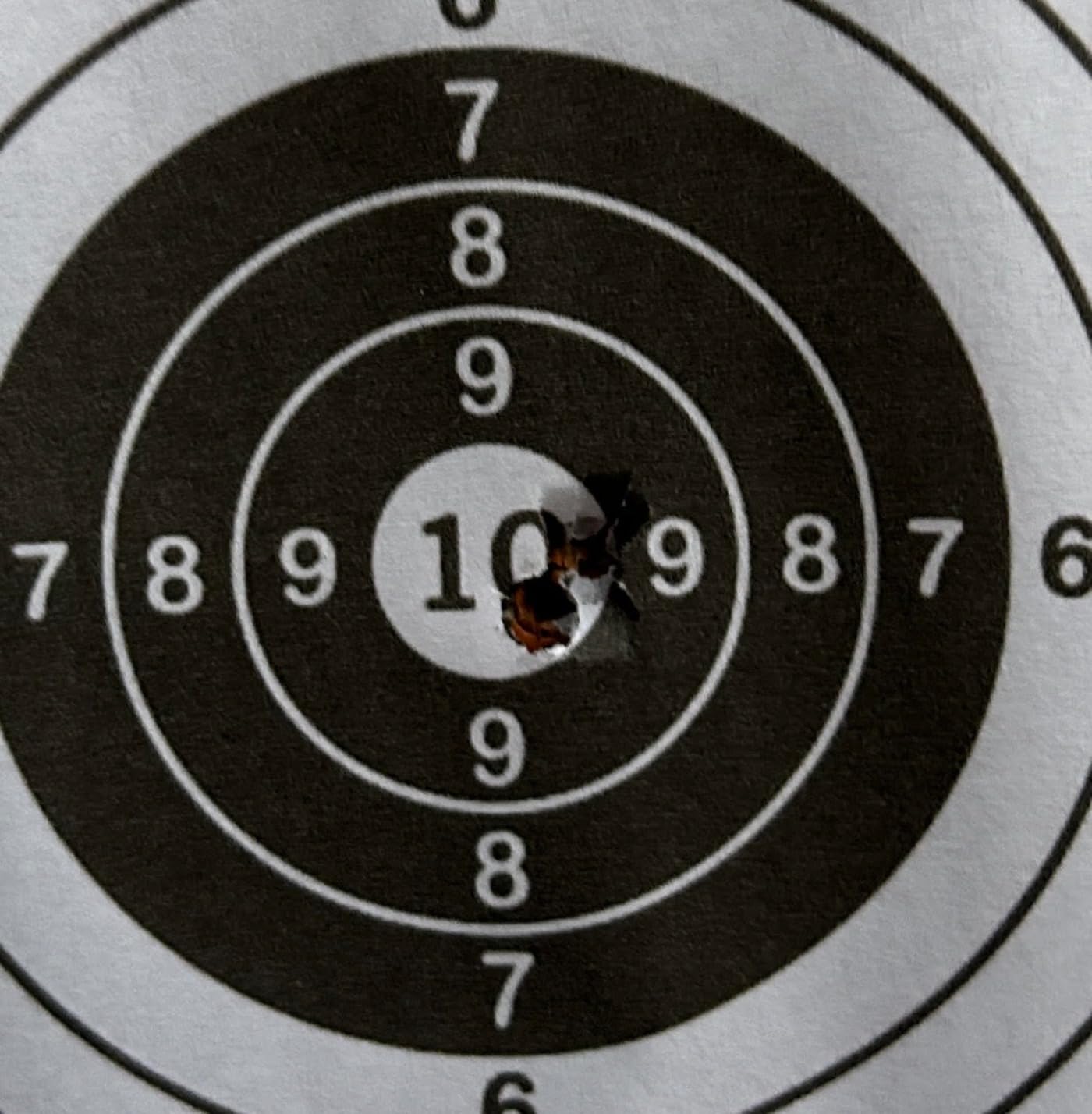Stoeger S4000-E Combo with Fiber-Optic Sights & 4 x 32 Scope customer photo 1
