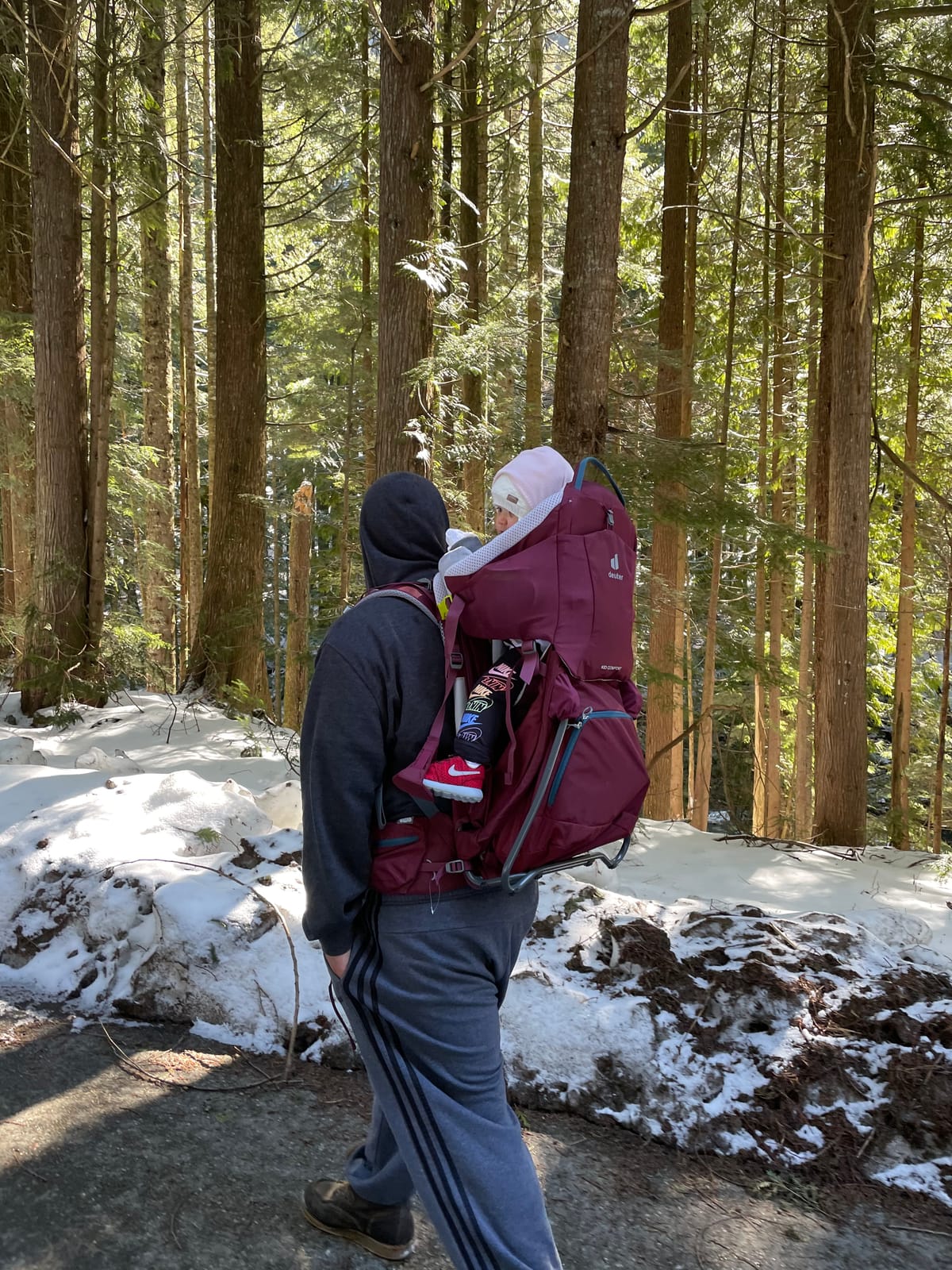 Deuter Kid Comfort Child Carrier and Backpack for Travel & Hiking with Toddlers customer photo 2