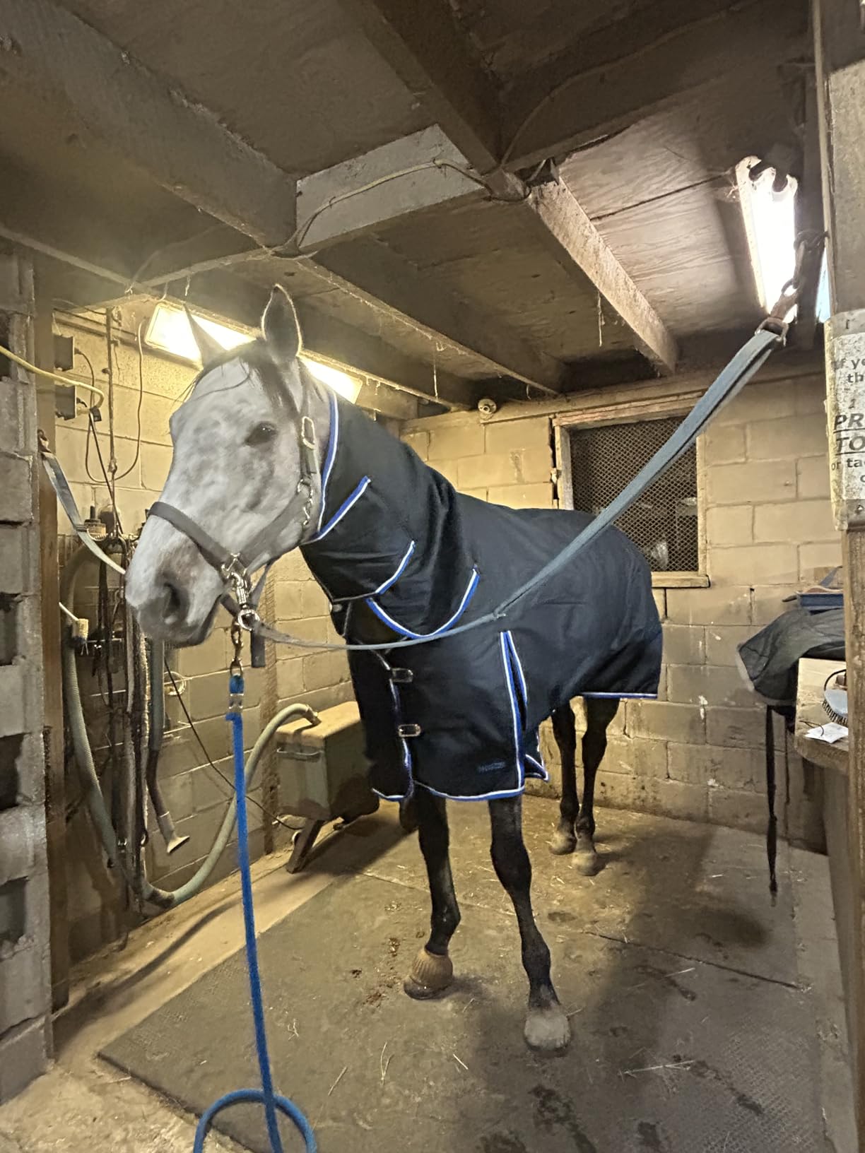 Horze Glasgow Heavy Weight Winter Turnout (400g Fill) | Waterproof Combo Horse Blanket with Neck Cover - Dark Blue - 78 in customer photo 1