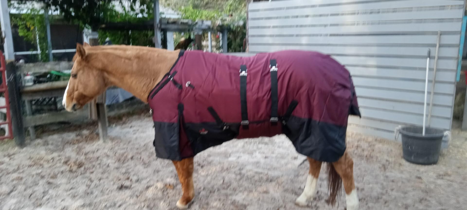 Black 78 in HILASON 1200D Winter Waterproof Turnout Blanket customer photo 1