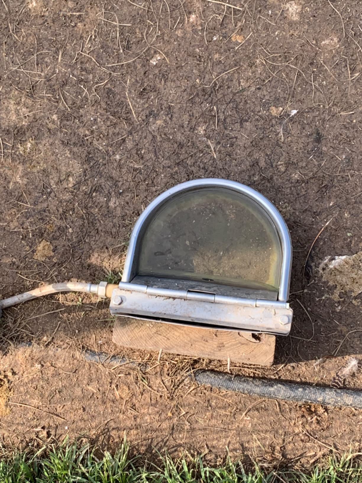 Automatic Livestock Waterer,304 Stainless Steel, for Cattle Dogs Horses customer photo 2