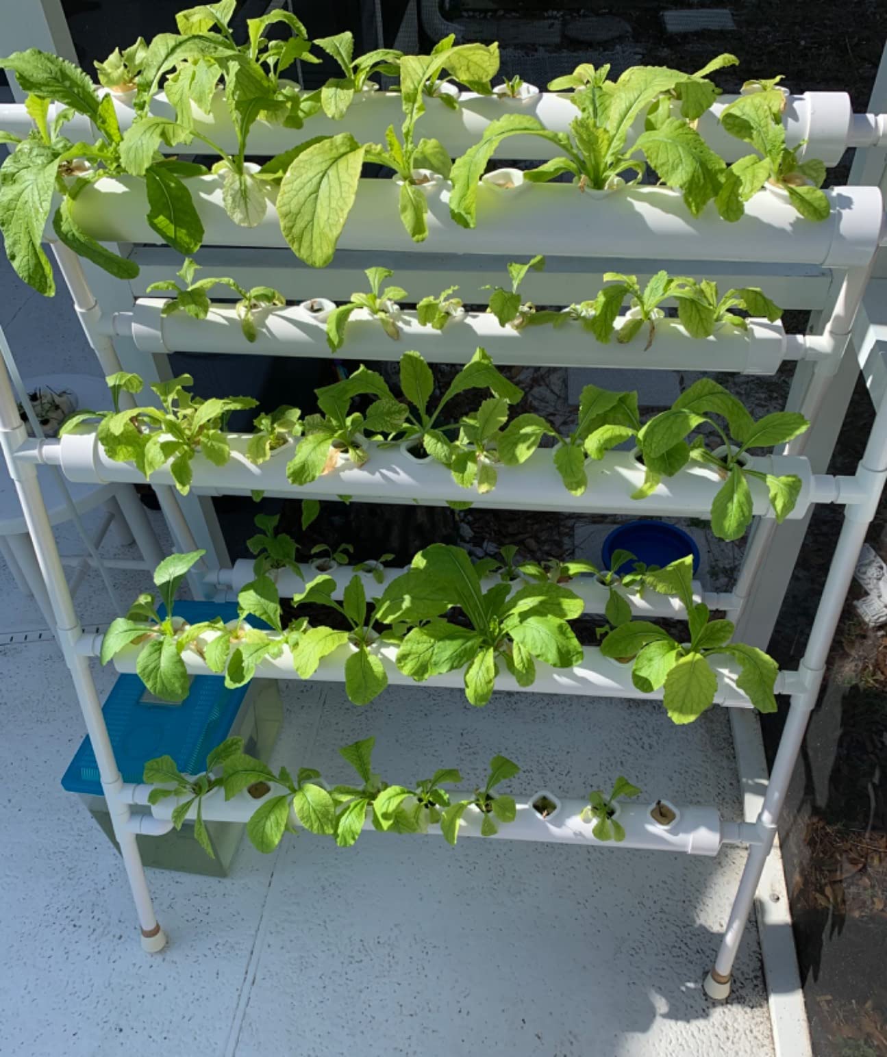 Hydroponics Growing System Kit,108 Plant Sites 3 Layers Food-Grade PVC-U Pipes Hydroponic Grow Kit Gardening System with Water Pump, Timer,Net Pots and Sponge for Vegetables,Fruits,Herb customer photo 2