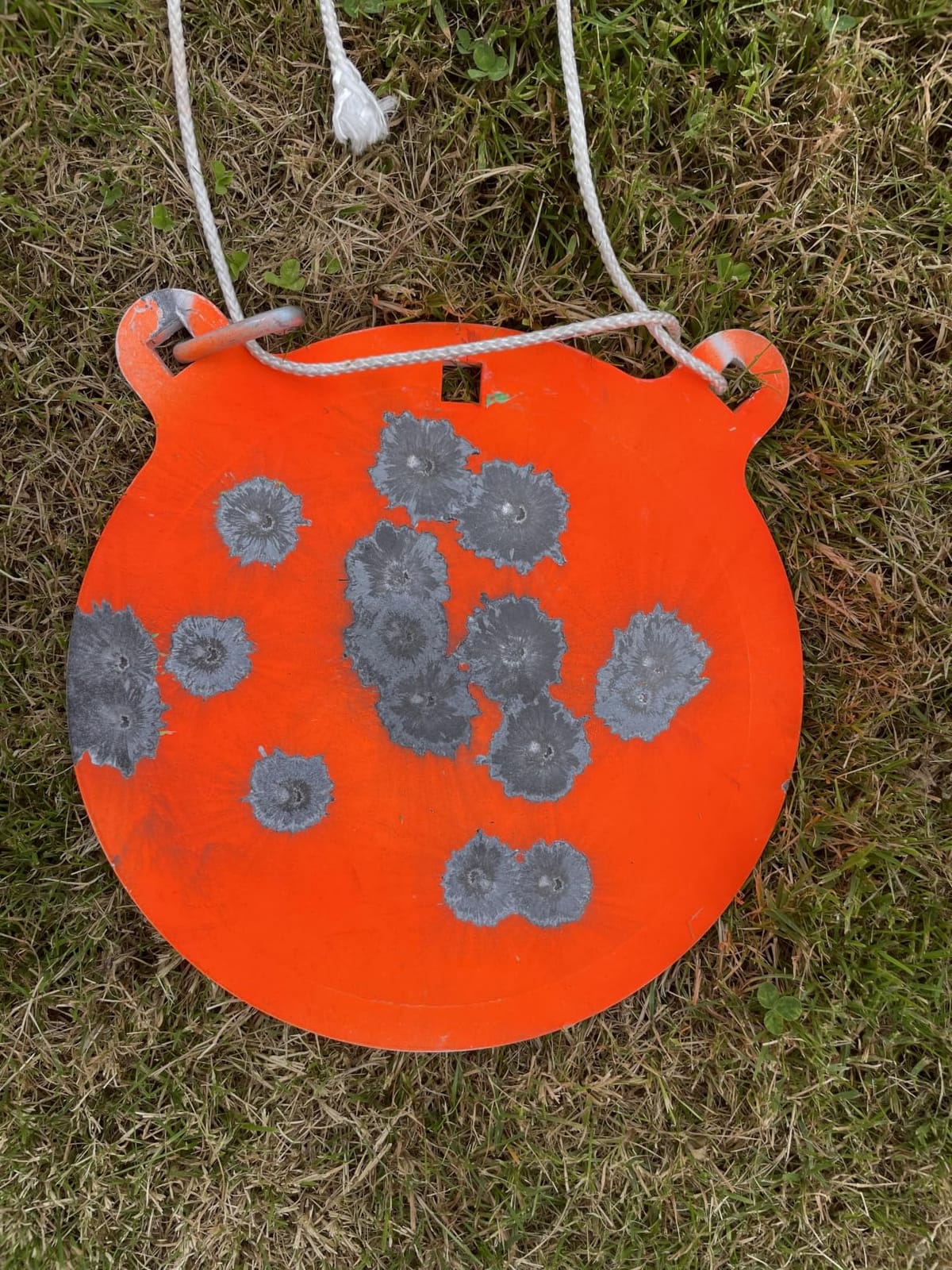 Allen Company Steel Gong - Thick AR 500 Steel Shooting Target for Outdoor Range Use at 200 Yards customer photo 2