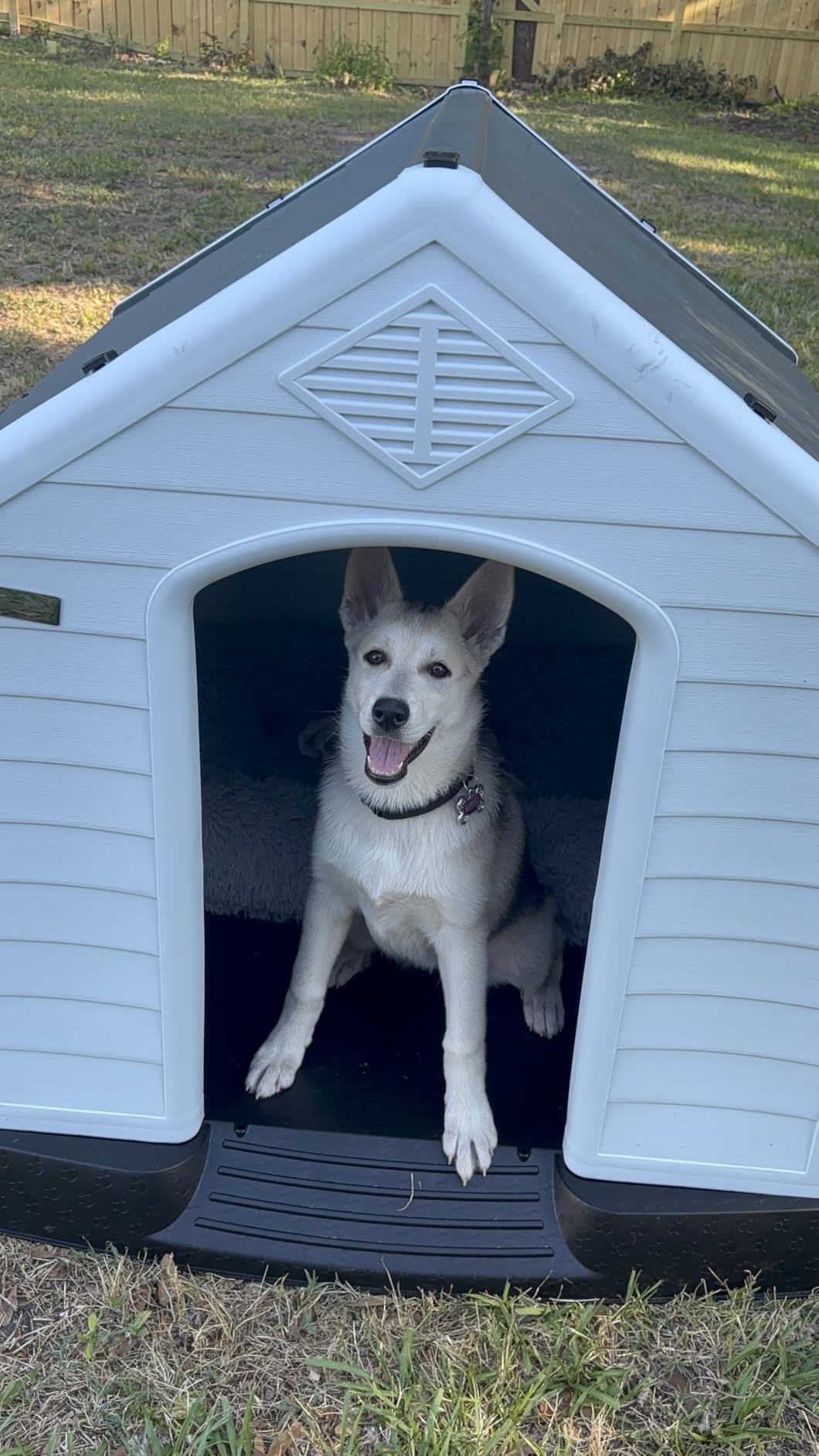 LEMBERI Large Dog House, Indoor/Outdoor, Gray 38.8