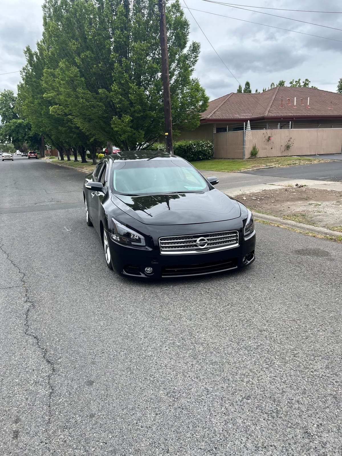 Truhart Coilovers for 16+ Civic Sdn/Cpe / 22+ Civic Hatchback Excl Si customer photo 1