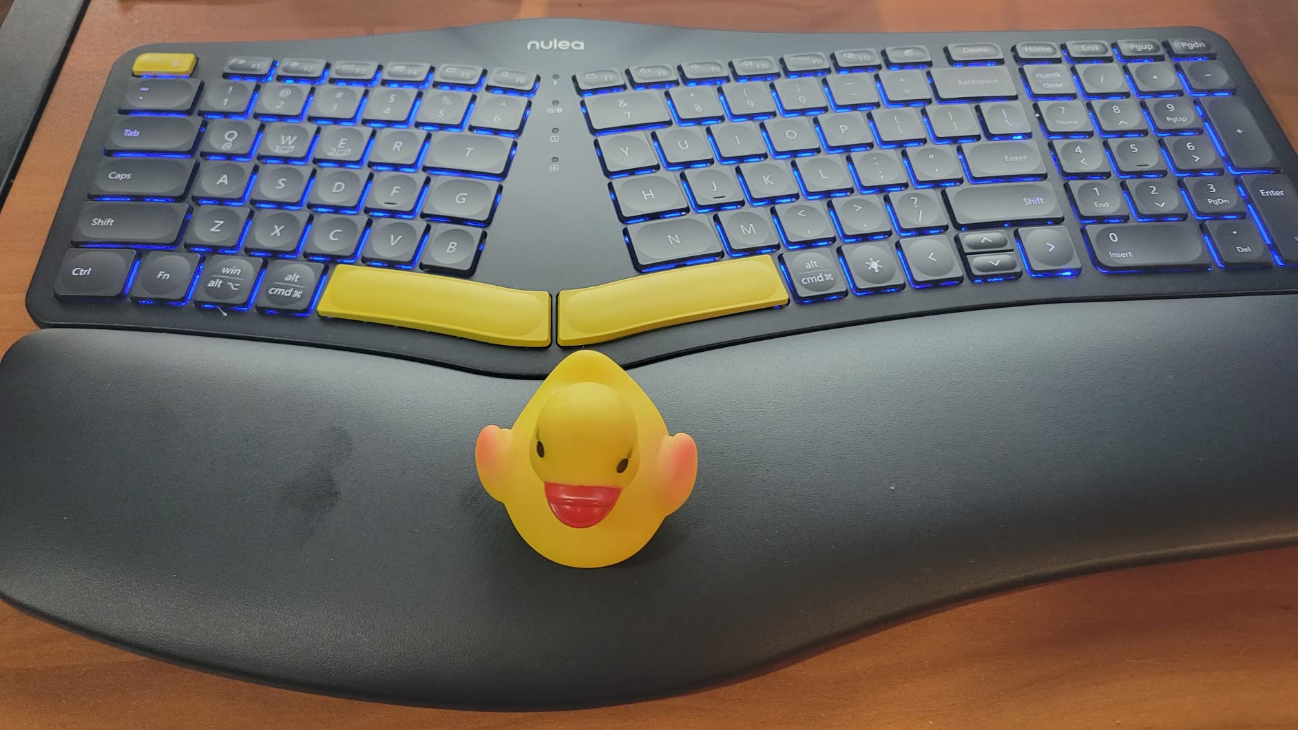 Nulea Ergonomic Split Keyboard Wireless with Wrist Rest 7 Color Backlight customer photo 2