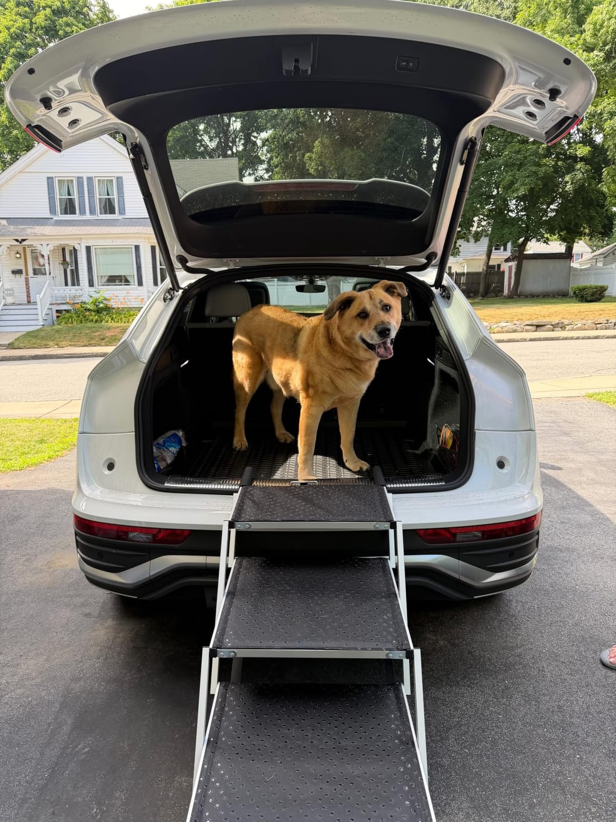 Extra Wide 20