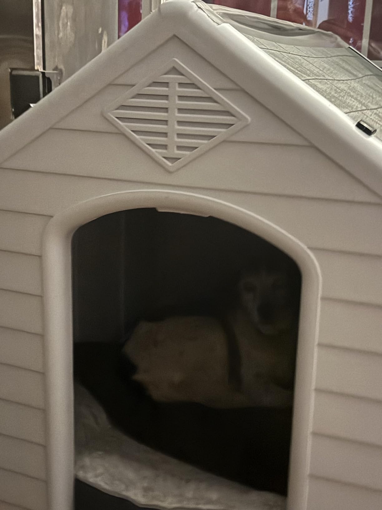 YITAHOME Plastic Dog House, Waterproof Indoor Outdoor Doghouse for Large or Small Dog, with Air Vents and Elevated Floor, Easy Assemble and Clean customer photo 2