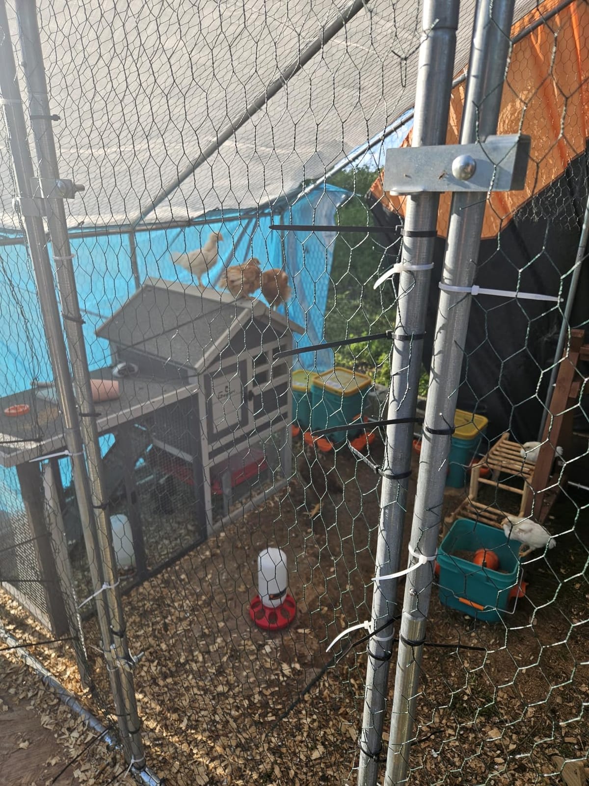 GEGURI Wooden Rabbit Hutch, Indoor Outdoor Chicken Coop Bunny Cage with Waterproof Roof customer photo 1