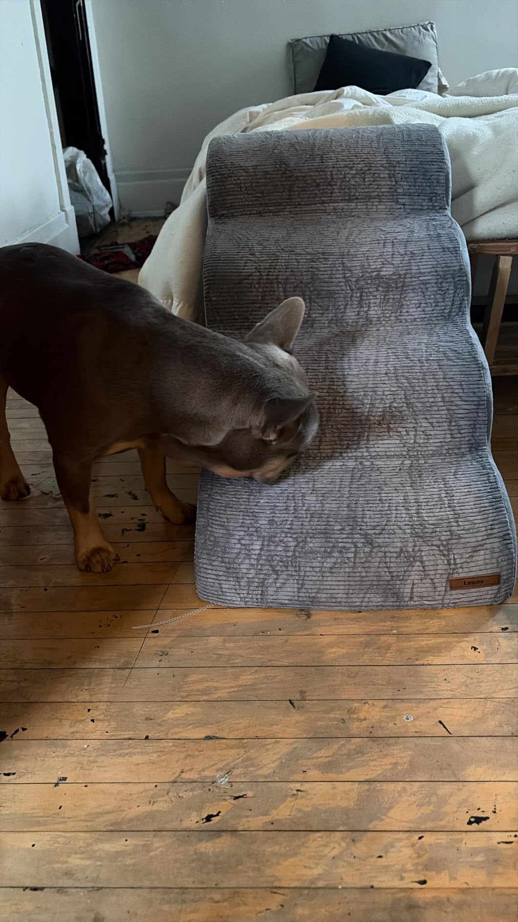 Lesure Dog Pet Stairs for Small Dogs and Cats, Beige, 3 Steps customer photo 1