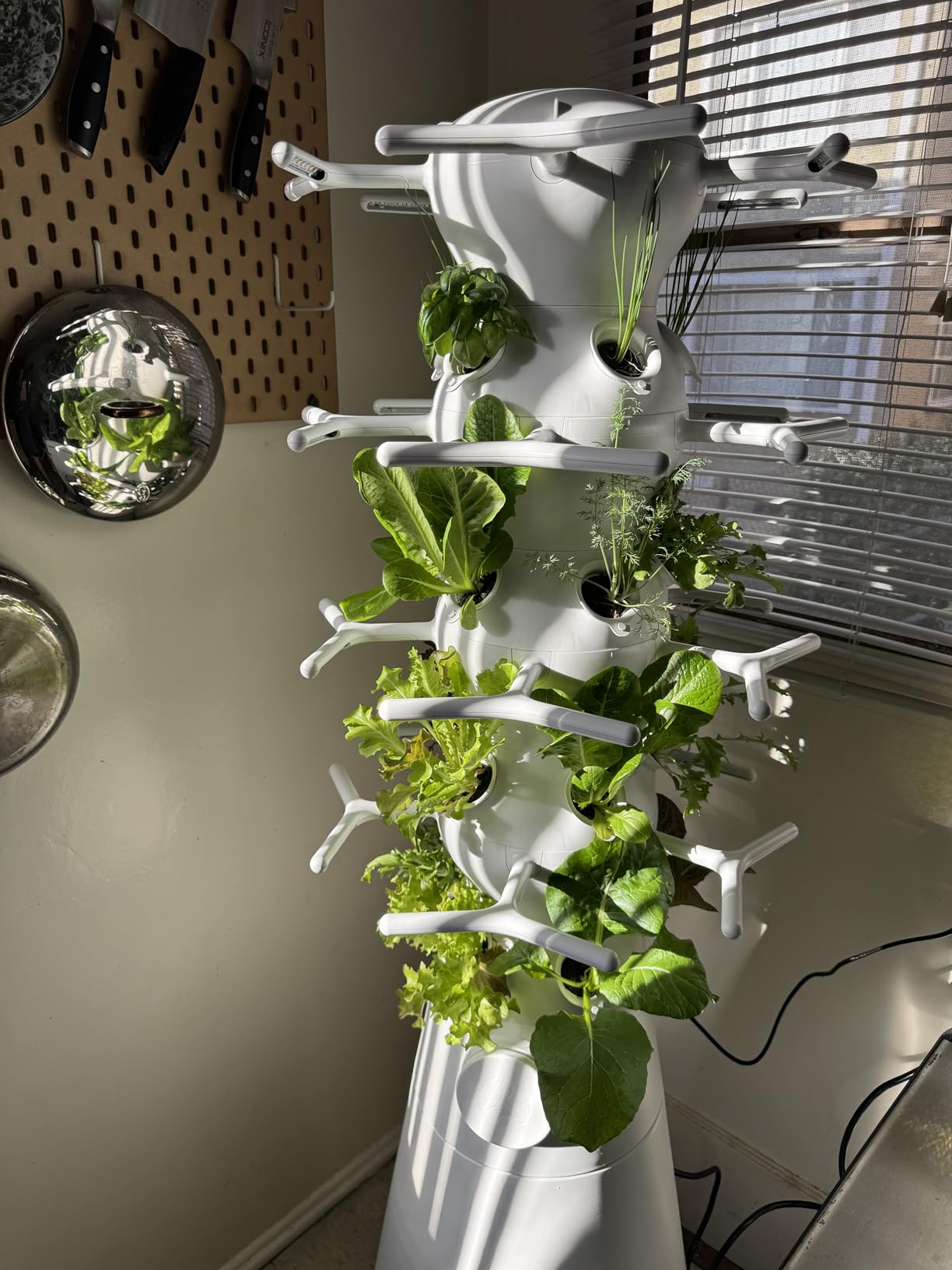 Lettuce Grow Farmstand Nook | 4ft 7in Vertical Hydroponic Garden Tower customer photo 1
