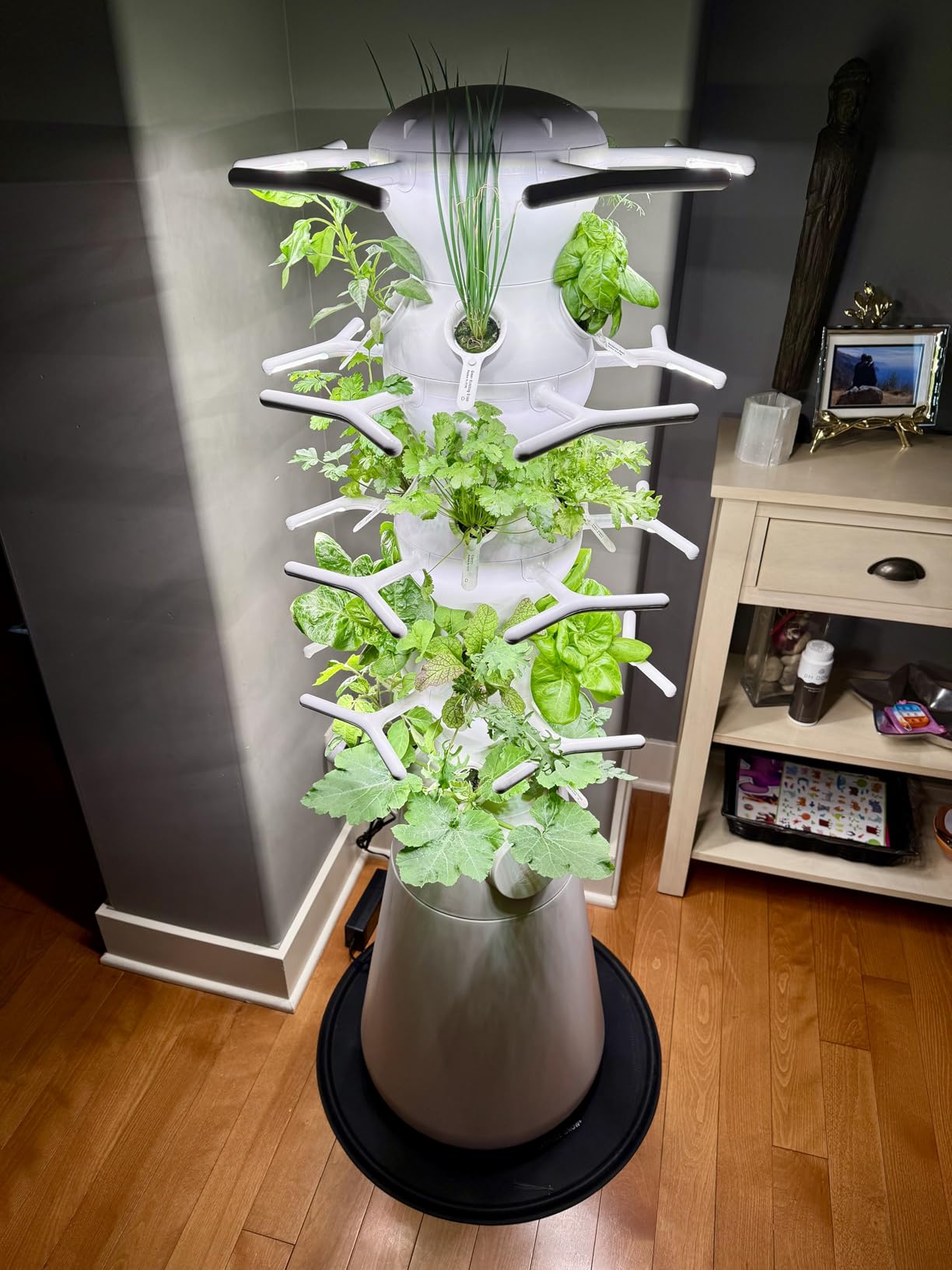 Lettuce Grow Farmstand Nook | 4ft 7in Vertical Hydroponic Garden Tower customer photo 2