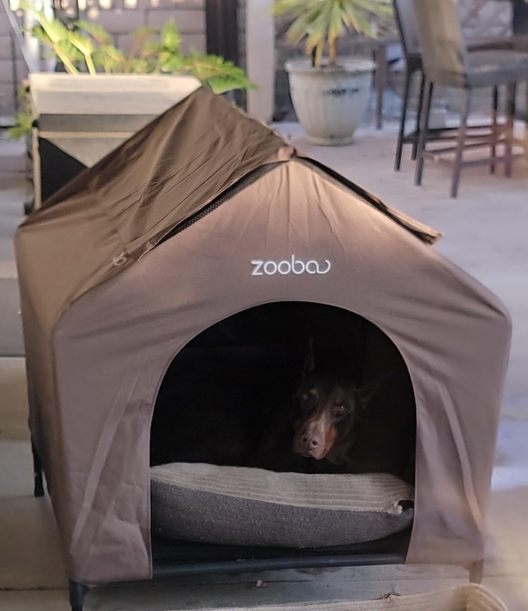 Zooba 42” Outdoor Dog House for Large Breeds, Durable Large Dog Shelter with Weatherproof 600D PVC Canopy, Breathable 2x1 Textilene Fabric Elevated Dog Bed, XL Dog Kennel for Outside Use customer photo 1