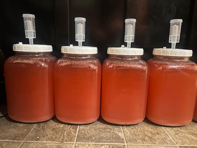 Folinstall 1.5 Gallon Large Fermentation Jars, Wide Mouth Glass Mason Jar customer photo 1