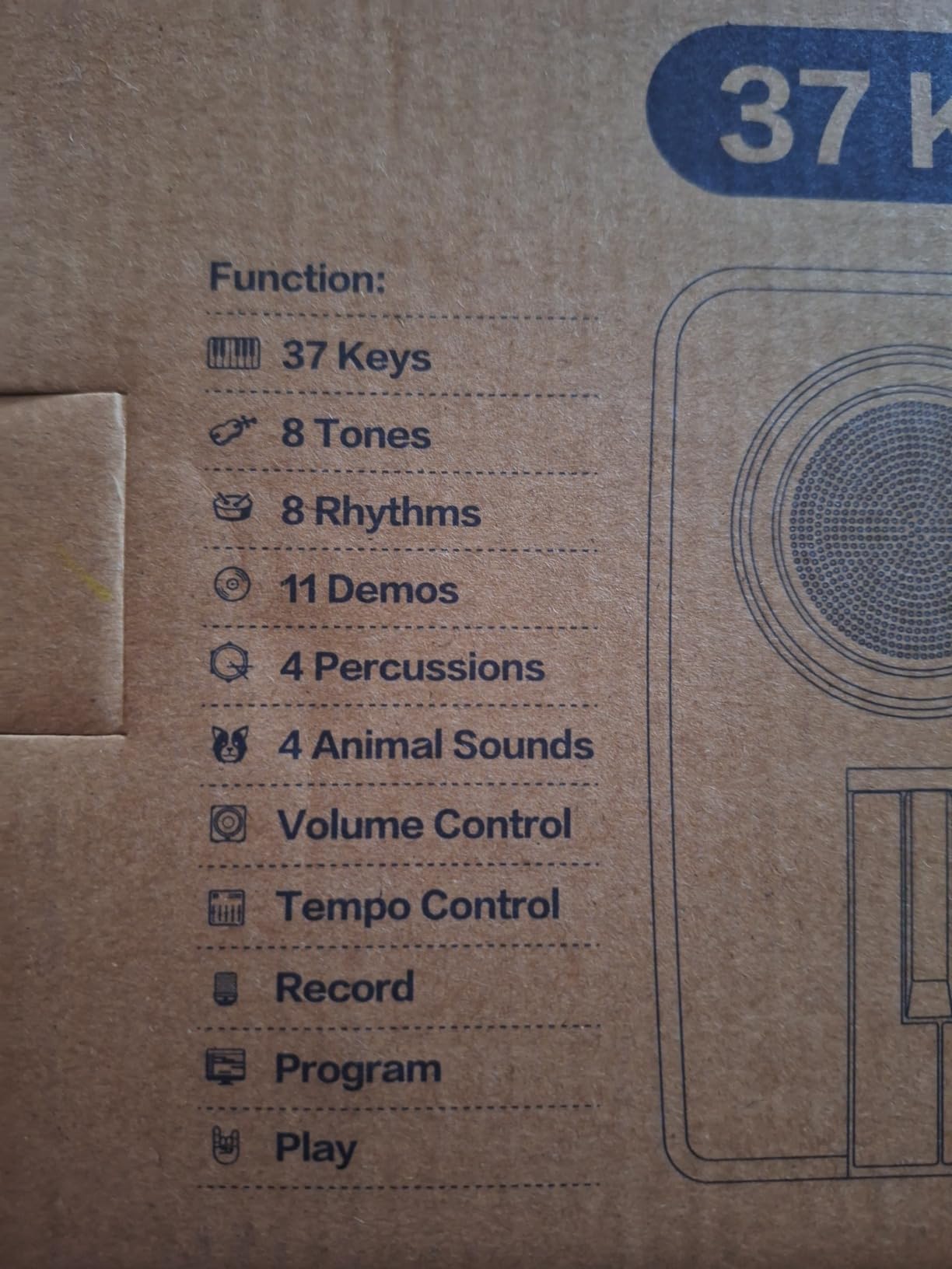 Raimy 37 Keys Electronic Keyboard Piano for Kids 3 4 5 6 7 8 9 Year Old customer photo 2