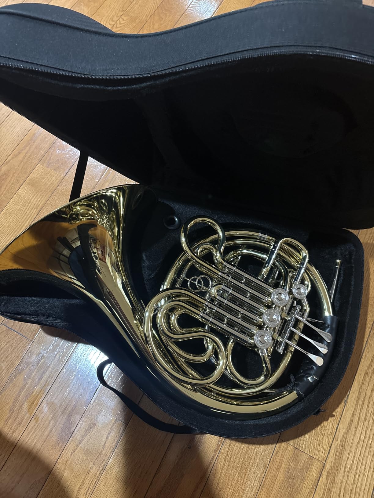 Professional Double French Horn F/Bb 4-Key Brass Instrument for Students Orchestra Band Practice with Case Gloves Cleaning Kit - Gold Lacquered Finish customer photo 1