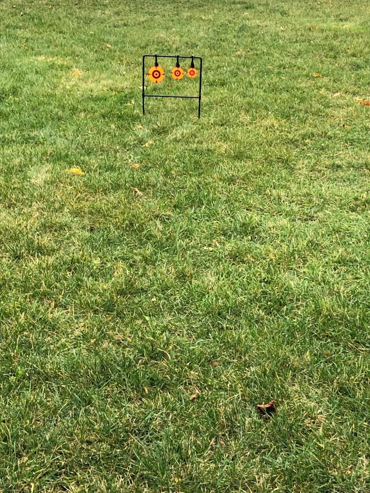 3/8'' Thick Metal High Caliber Spinner Target, Heavy Metal Spinner Auto Reset Steel Target for Centerfire Handguns Up to .44 Magnum Outdoor Target Shooting Range customer photo 1