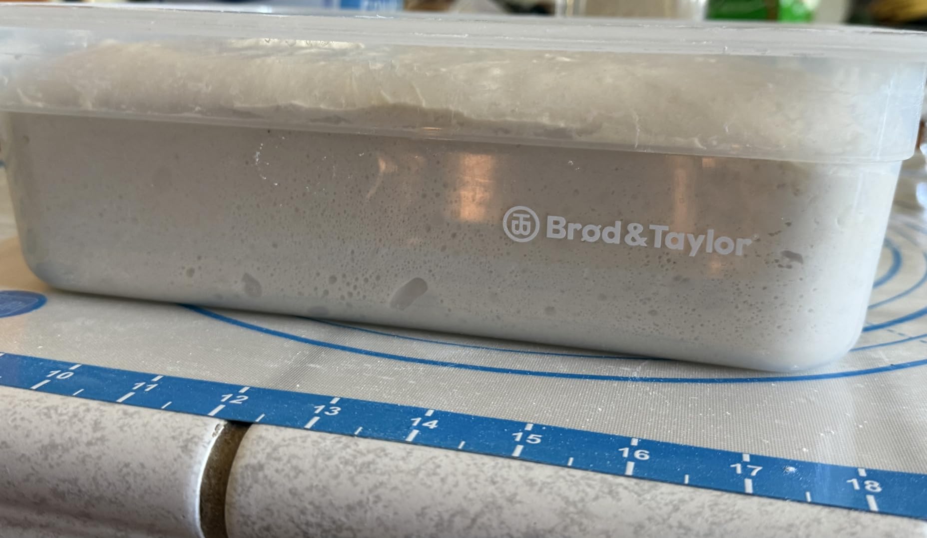 Brod & Taylor Proofing Container With 6L Capacity, Fits Up to 3000 Grams of Dough – Dough Rising Box for Bread, Sourdough & Pizza (Dishwasher Safe, BPA-Free) customer photo 1
