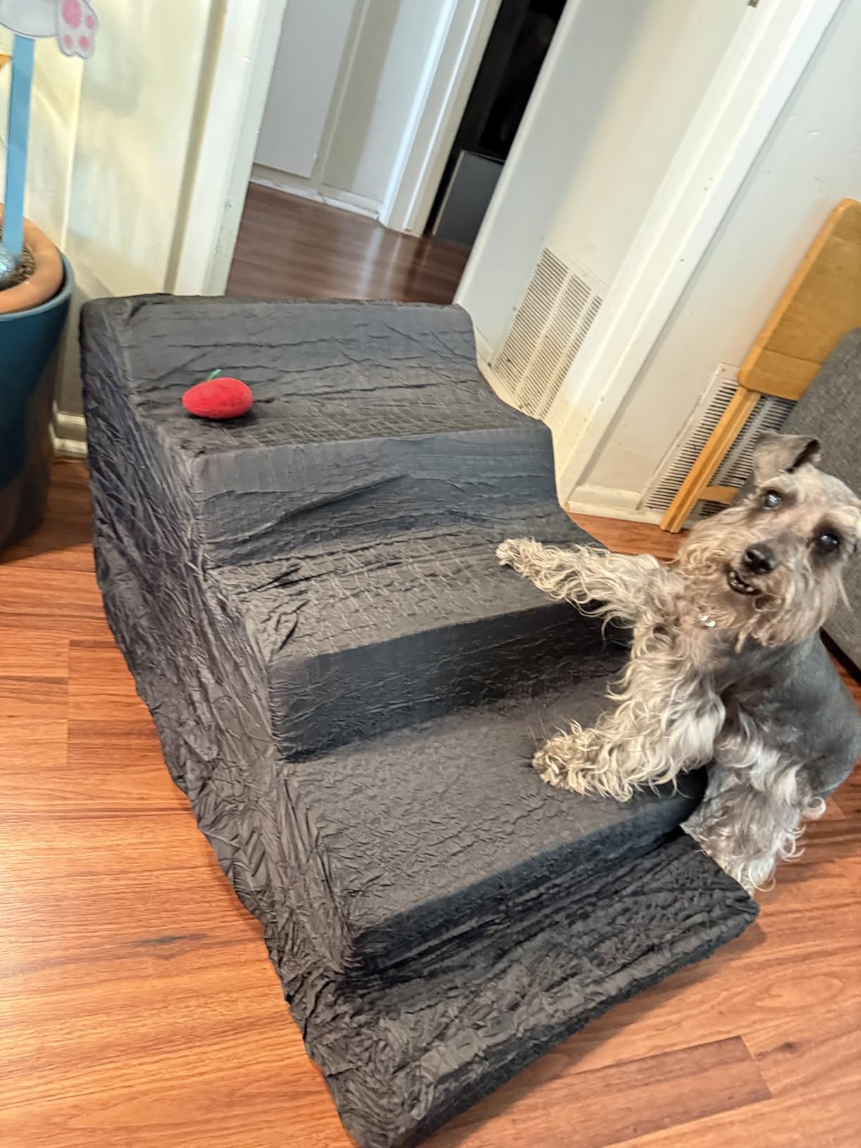 Noah & Paw Dog Stairs, Dog Ramp for Bed (17