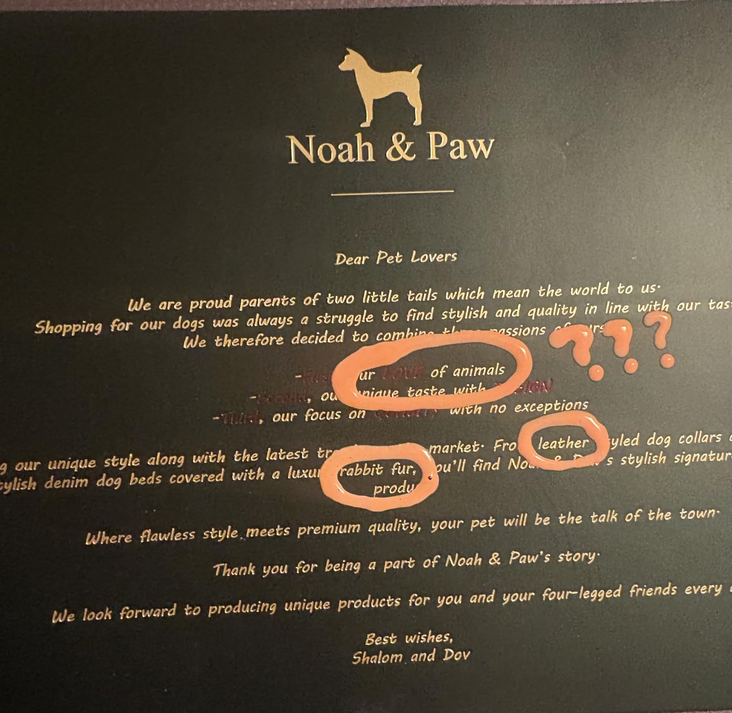 Noah & Paw Dog Stairs, Dog Ramp for Bed (17