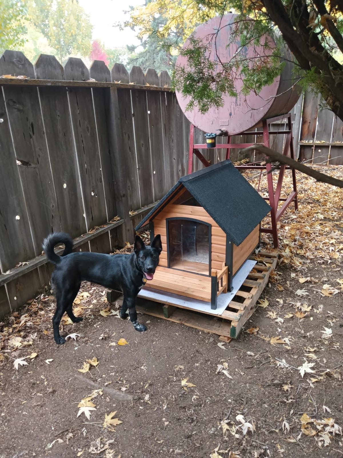 Aivituvin Heated Outdoor Dog House with Adjustable Heating Pad, Removable Insulated Liner, Metal Frame and Waterproof Roof, Warm Shelter for Cold Weather (50.9
