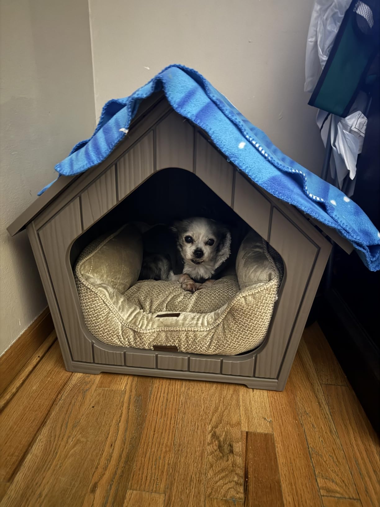 Bifanuo Large Dog House for Outdoor & Indoor, Waterproof Puppy Shelter with Air Vents & Elevated Floor, Easy Assemble Sturdy Dog Kennel for Large Dogs(Grey,36.2''L×38''W×38''H) customer photo 2