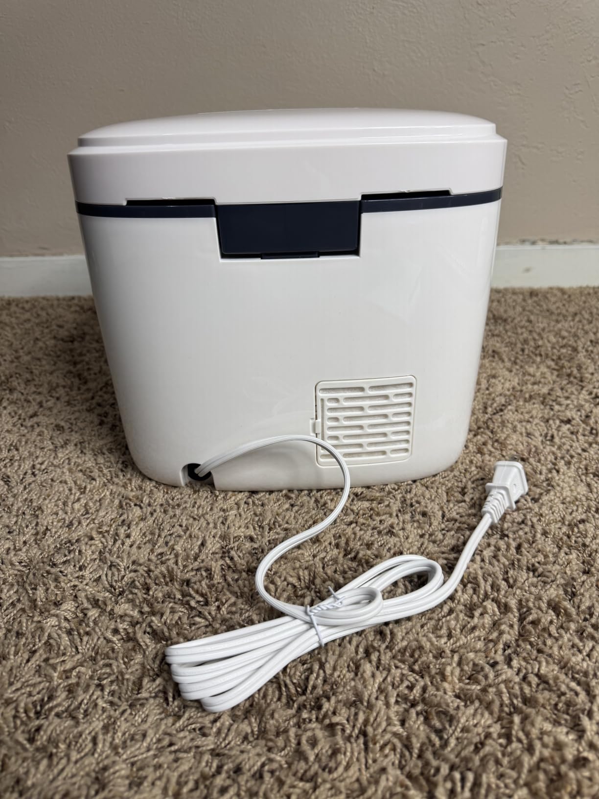 IAGREEA UV Cleaning and Dryer, 4 in 1 UV Box with 2 Fluorescent Tubes customer photo 2