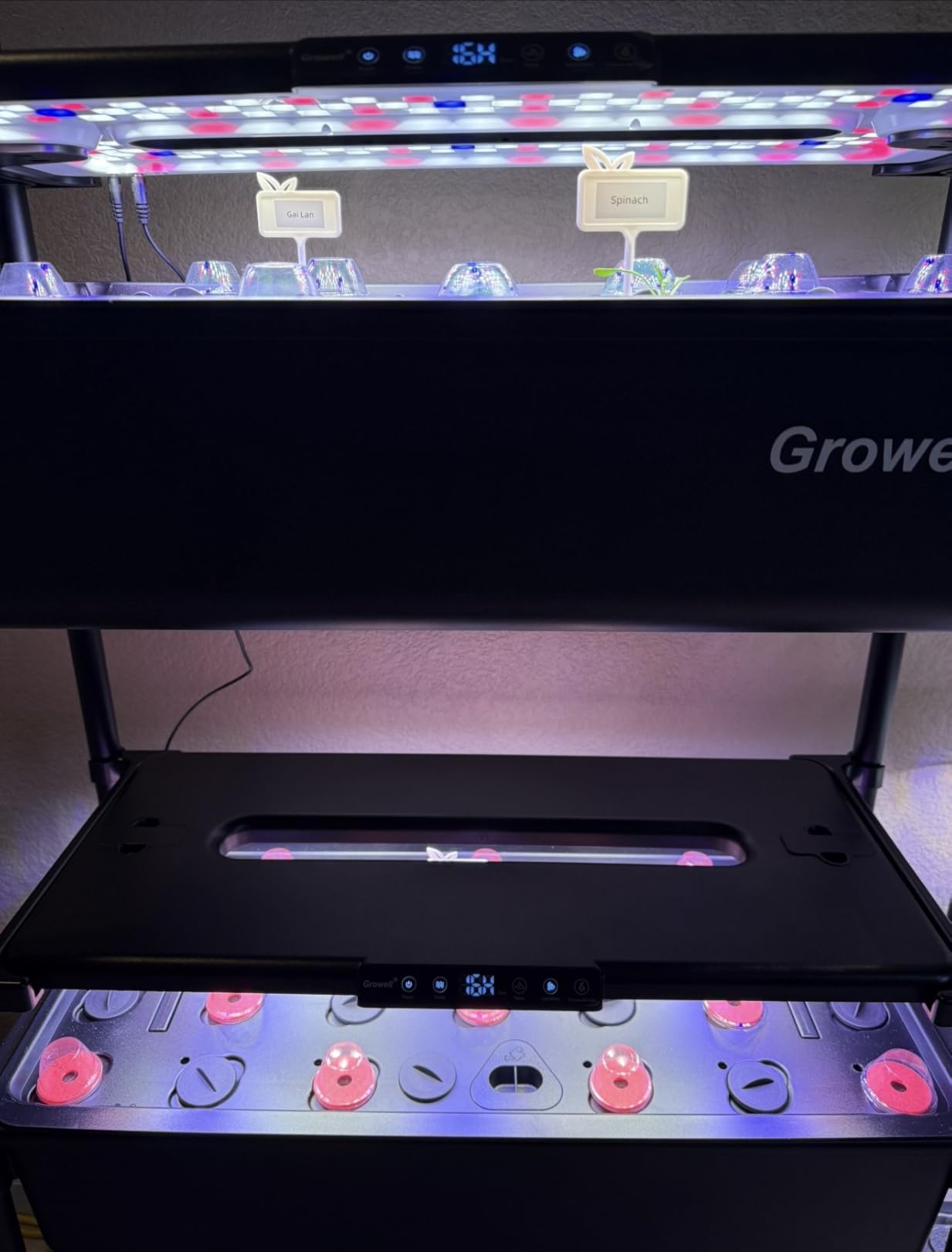 Growell 81 Pods Hydroponics Growing System Kit with Independent Water Pump customer photo 2