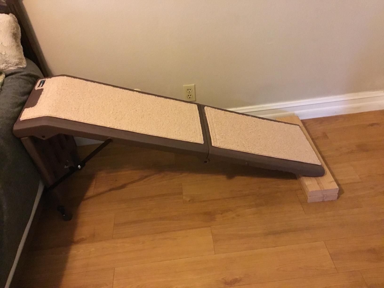 Pet Gear Free Standing Pet Ramp for Cats and Dogs, Platinum customer photo 2