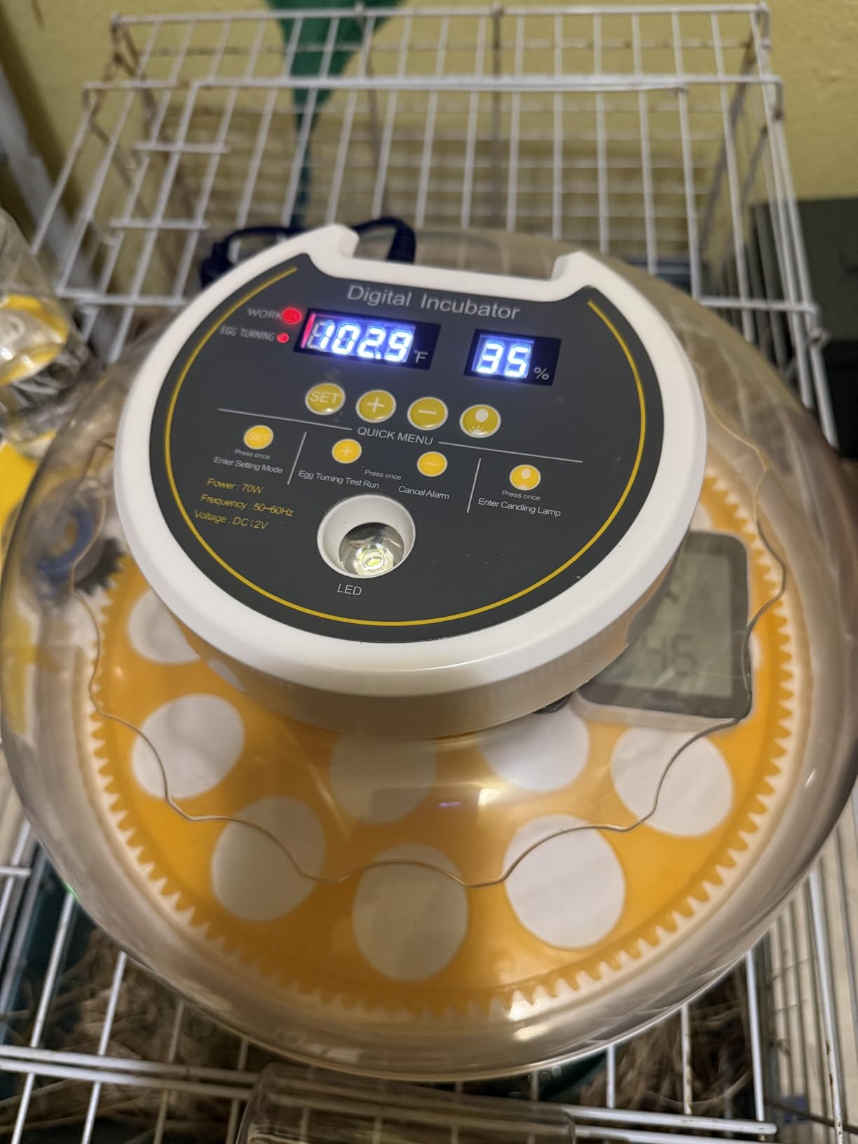 Egg Incubators for Hatching Eggs, 18 Egg Incubator with Automatic Egg Turning and Humidity Control Incubator for Chicken Duck Quail Home Lab customer photo 2