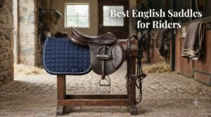 Best English Saddles for Riders
