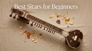 Best Sitars for Beginners