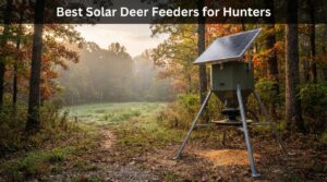 Best Solar Deer Feeders for Hunters
