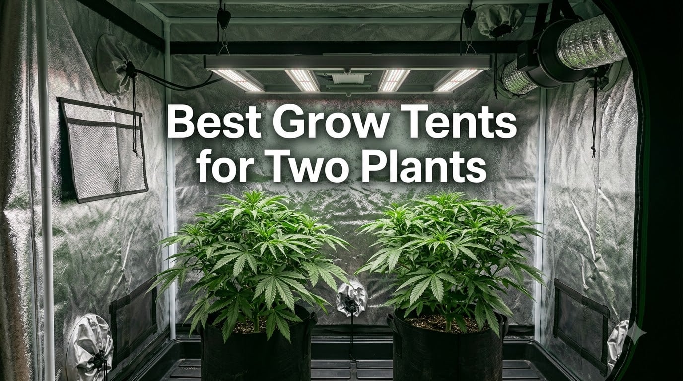 Best Grow Tents for Two Plants