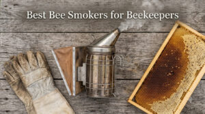 Best Bee Smokers for Beekeepers