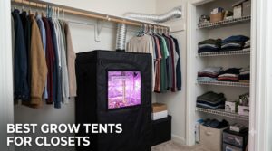 Best Grow Tents for Closets