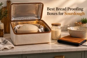 Best Bread Proofing Boxes for Sourdough