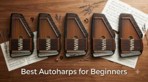 Best Autoharps for Beginners