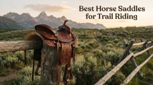 Best Horse Saddles for Trail Riding
