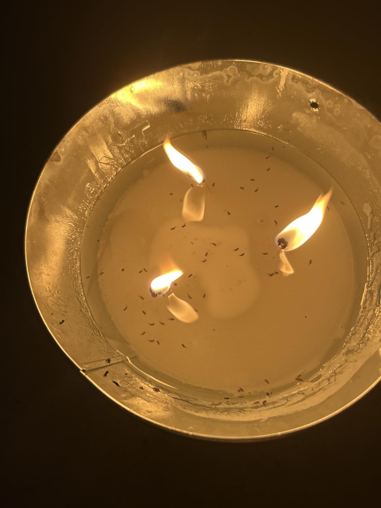 TIKI Citronella Candle Bucket for Outdoors, Triple-Wick Galvanized Metal customer photo 2