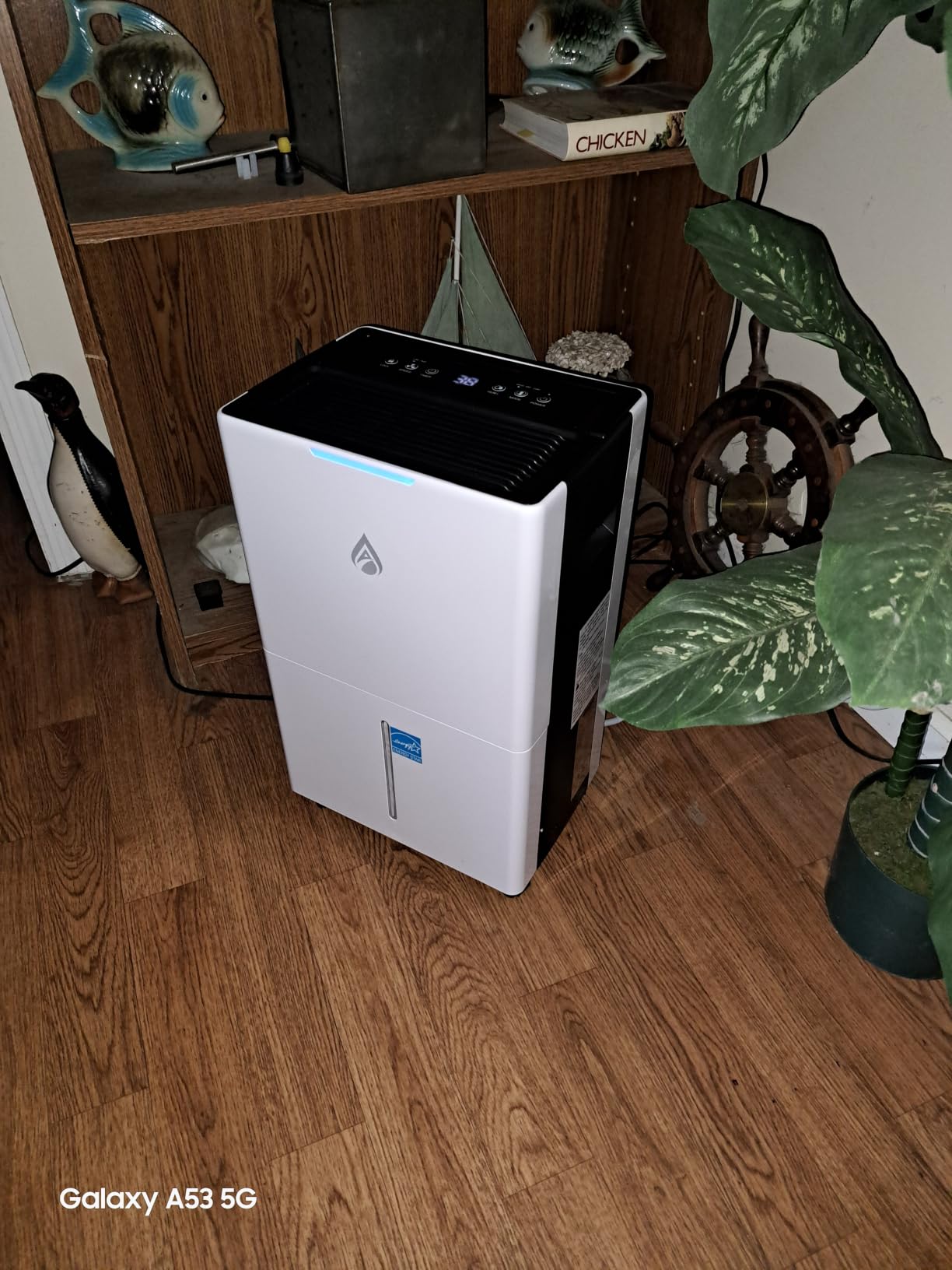 52 Pint Dehumidifier, 5000 Sq. ft Dehumidifier for Basement Large Room customer photo 2