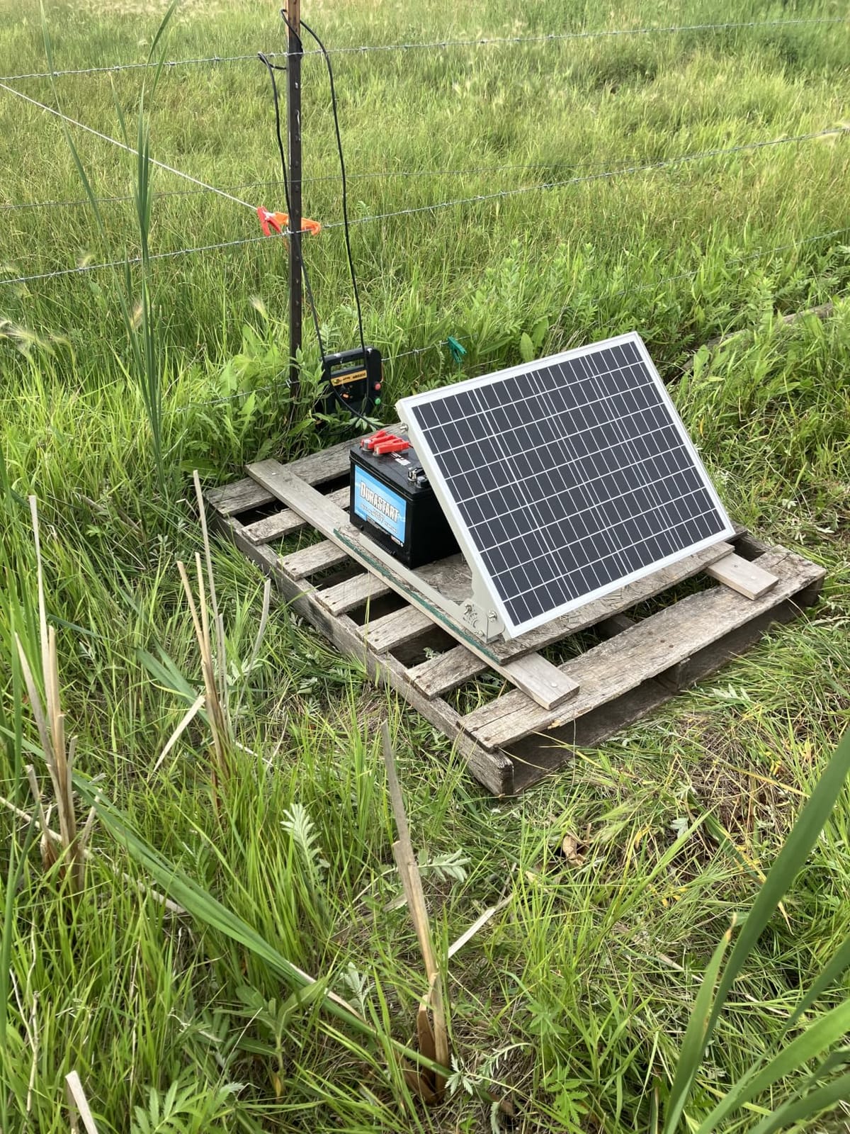 SUNER POWER 12V 50W Solar Battery Charger Maintainer, Built-in UltraSmart MPPT Controller, Adjustable Mount Bracket, Waterproof 50 Watt Solar Panel Kit for 12 Volt SLA Deey Cycle AGM Lifepo4 Battery customer photo 1