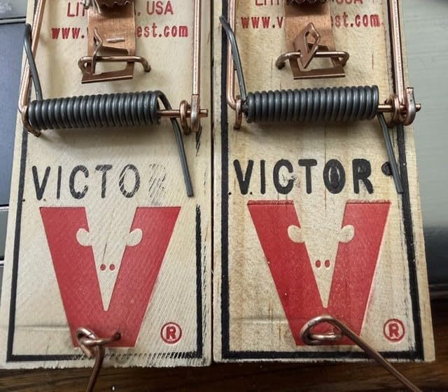 Victor Metal Pedal Mouse Traps, 12-Pack, Reusable Wooden Snap Traps customer photo 1