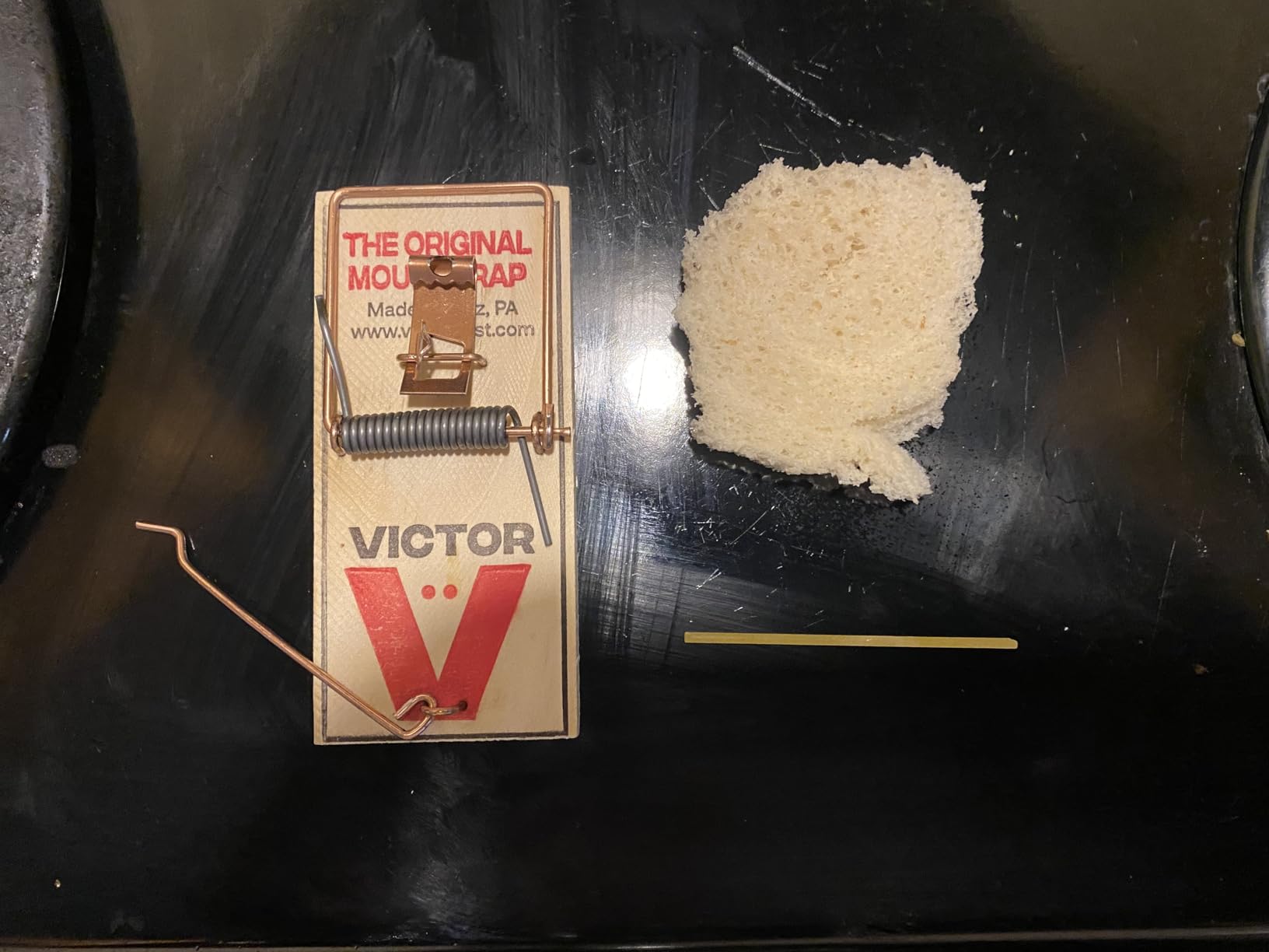 Victor Metal Pedal Mouse Traps, 12-Pack, Reusable Wooden Snap Traps customer photo 2