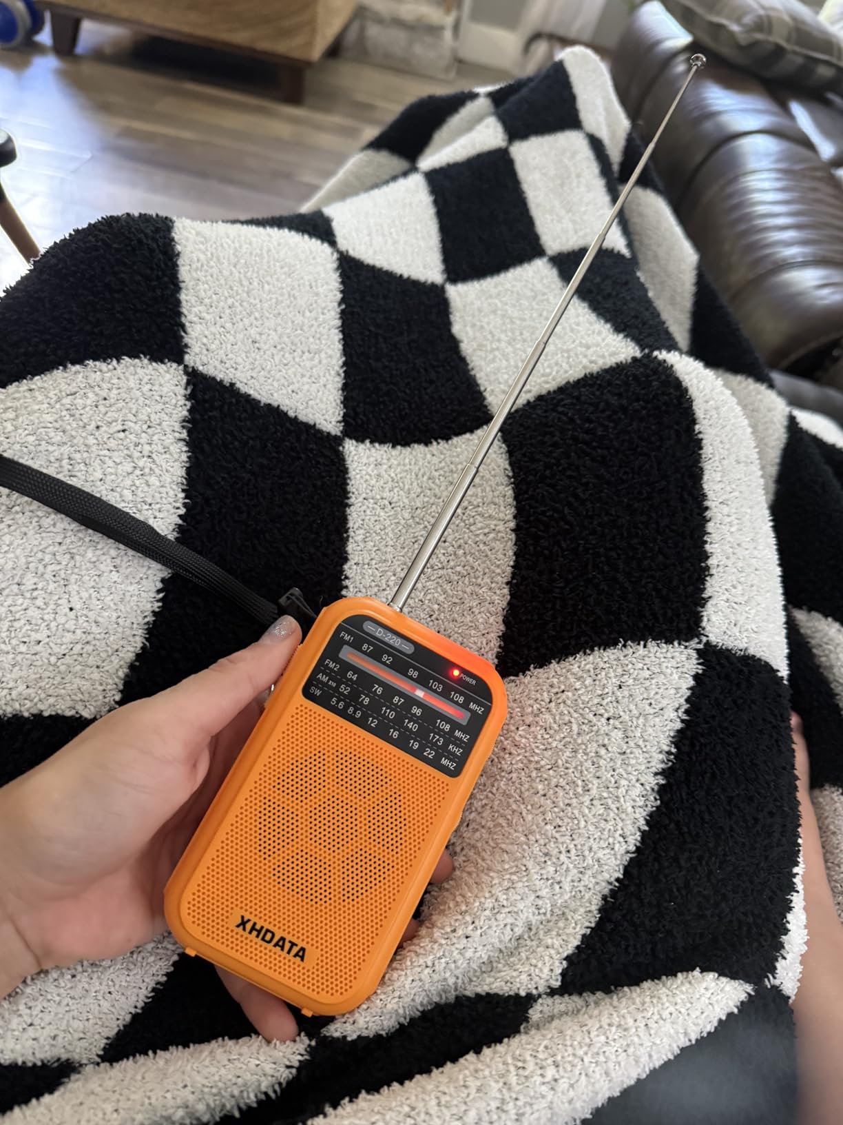 XHDATA D220 Portable Radio AM FM SW Shortwave Receiver Pocket Radio customer photo 2