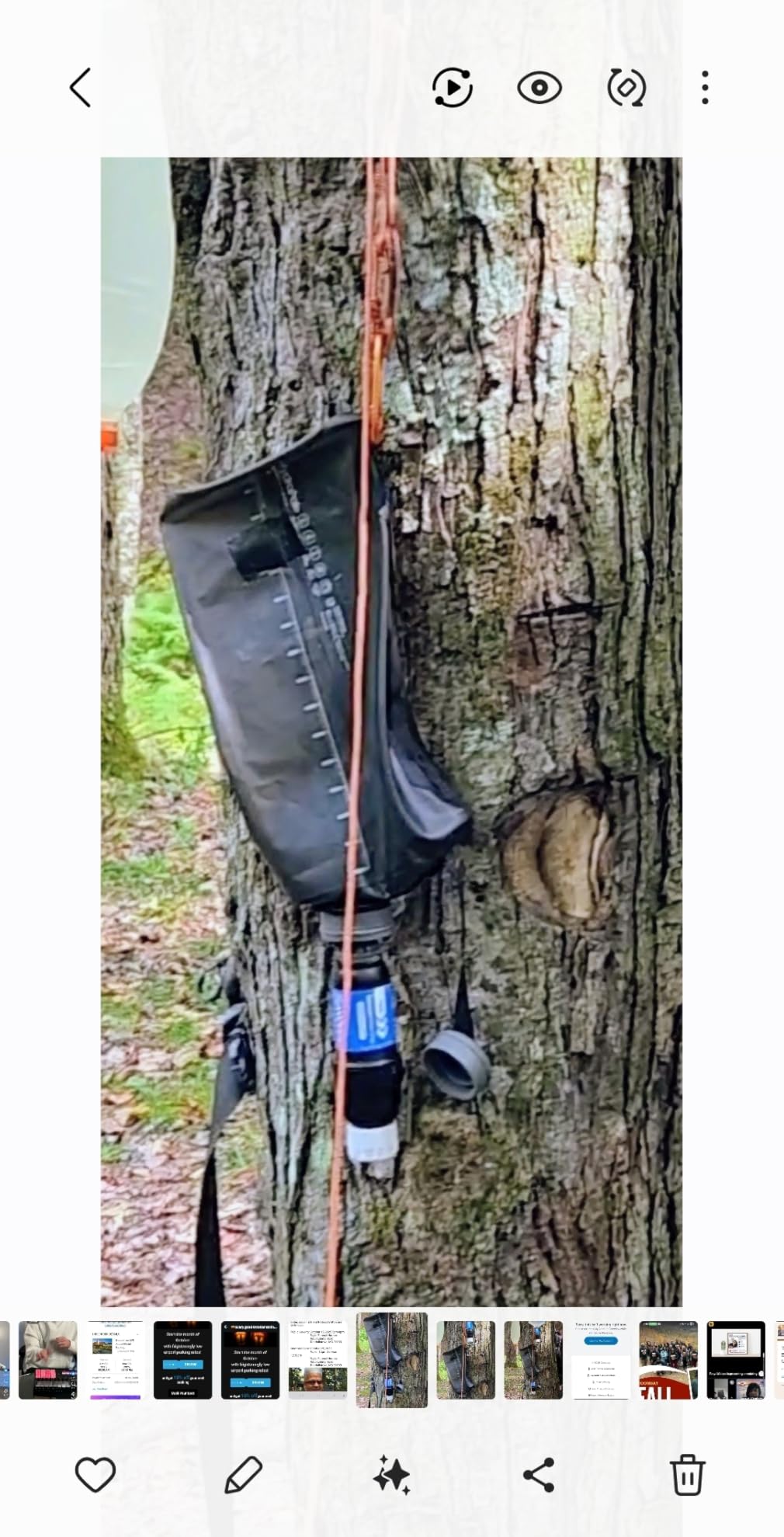 HydraPak Seeker Collapsible Camping Water Storage (4L, Sage Green) customer photo 1