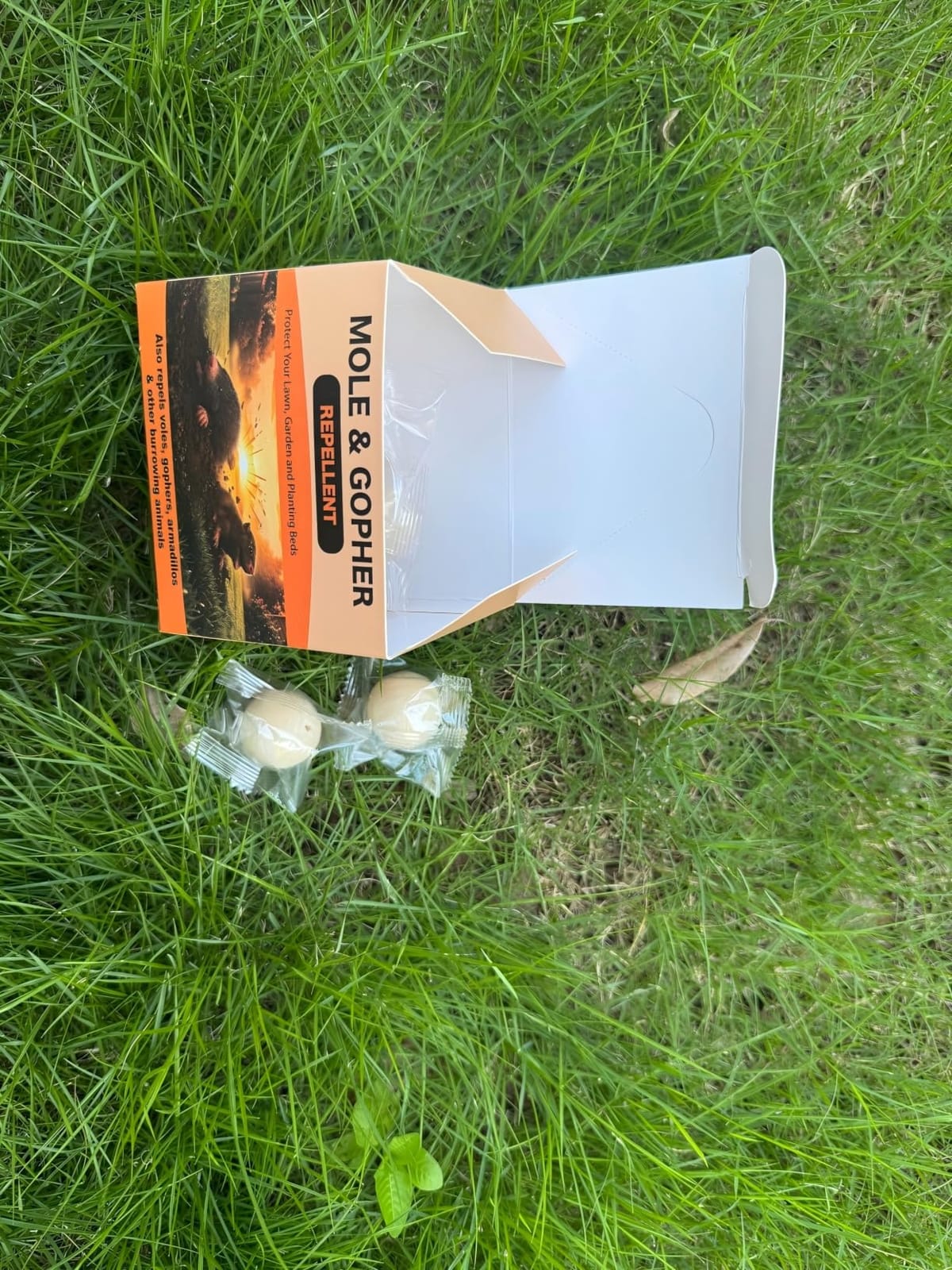 Mole Repellent, Gopher Repellent for Lawn, Groundhog Deterrent-12P customer photo 1